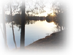 lakefeathered.jpg