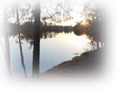 lakefeathered.jpg