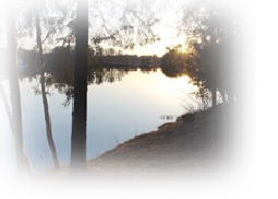 lakefeathered.jpg