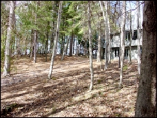 backyard0.jpg